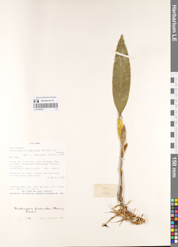 LE 01069153