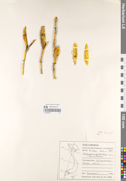 LE 01069161