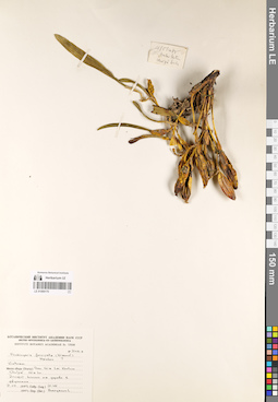 LE 01069170