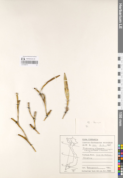 LE 01069175