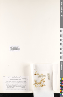 LE 01069181