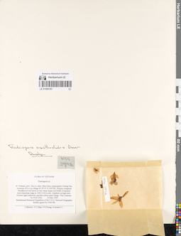 LE 01069183