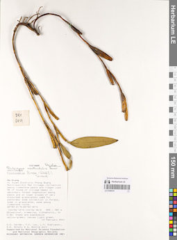 LE 01069191