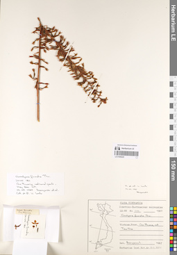 LE 01069225