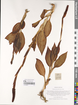 LE 01069279