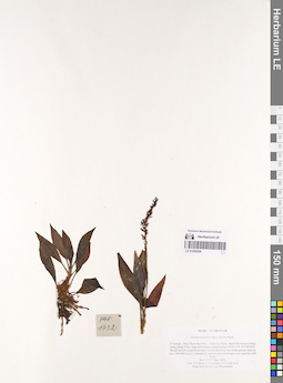 LE 01069284