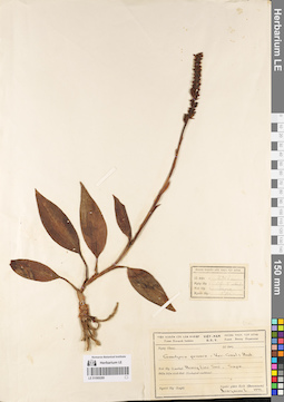 LE 01069289