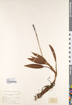 LE 01069293
