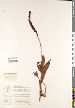 LE 01069297