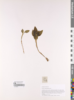 LE 01069304