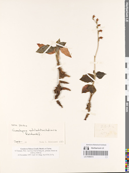 LE 01069313
