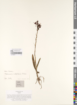 LE 01069373