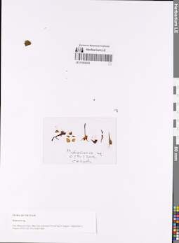 LE 01069383