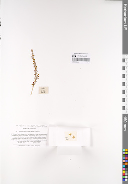LE 01069414