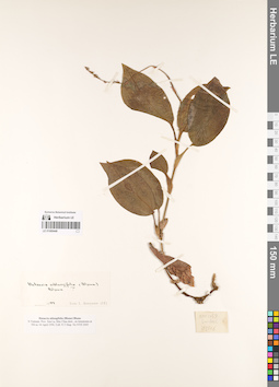 LE 01069448