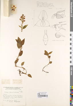 LE 01069762