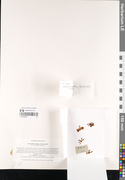 LE 01069786