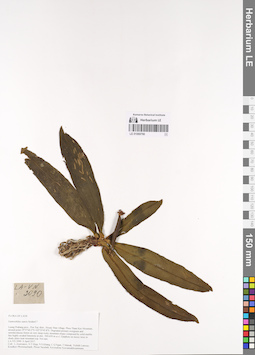 LE 01069790