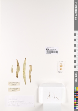 LE 01070104