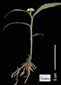 LE 01087567