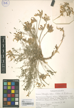 LE 01071932
