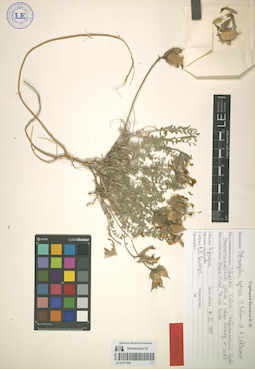 LE 01071933