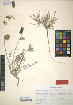 LE 01071934