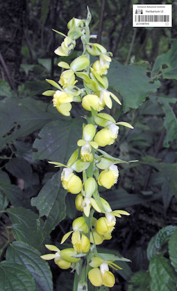 LE 01087616