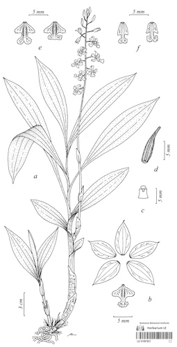LE 01087631