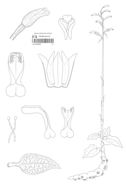 LE 01087655