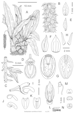 LE 01087689