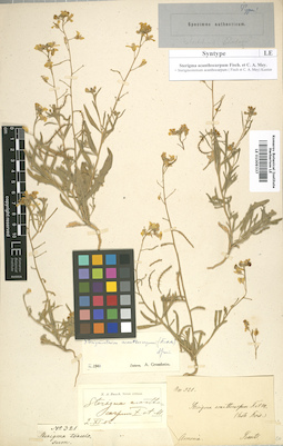 LE 01009337