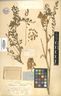 LE 01009341