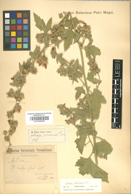 LE 01009491