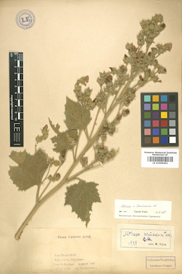 LE 01009492
