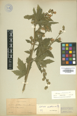 LE 01009493