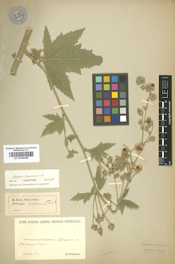 LE 01009495