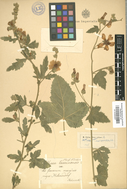LE 01009497