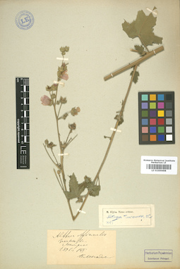 LE 01009498