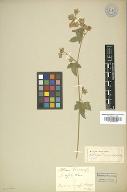 LE 01009499