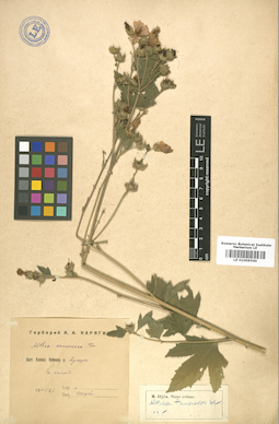 LE 01009500