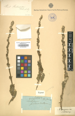 LE 01010261