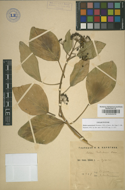 LE 01010276