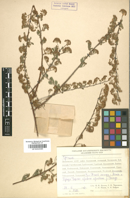 LE 01010365