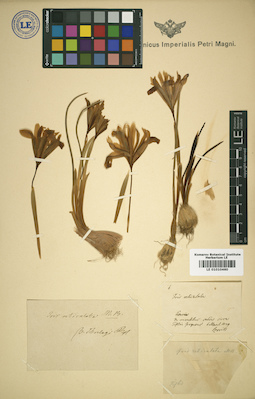 LE 01010460