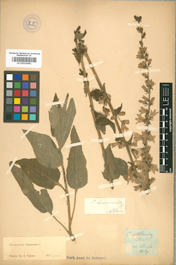 LE 01010491