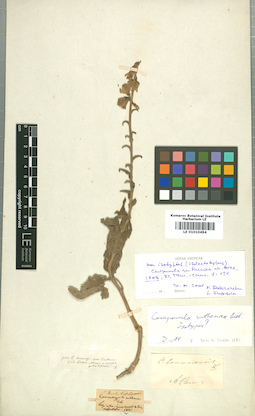 LE 01010494