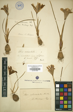 LE 01011540