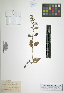 LE 01013828