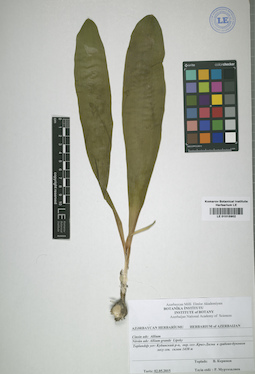 LE 01015902